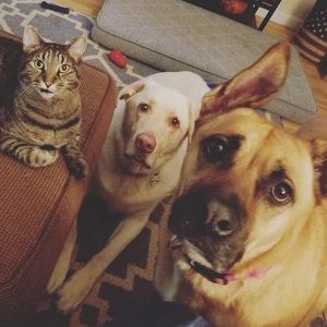 Meet your Posher, Adam